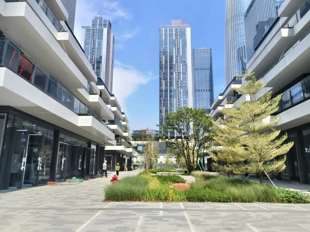 大家财险深圳总部大厦电梯图片