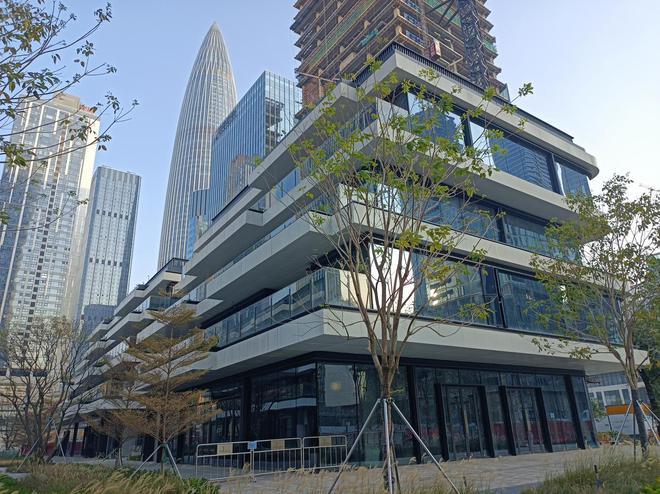 大家财险深圳总部大厦周边环境图